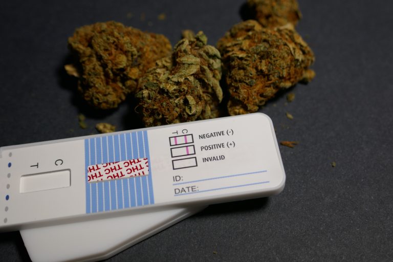 How Long Does Cannabis Stay In Your System? CAC